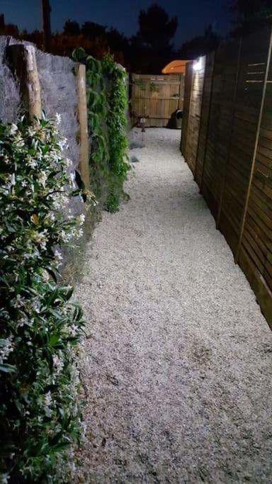 Le Chai De L'Ocean - Studio Avec Jardin Et Terrasse - Plage 300 M Soulac-sur-Mer Kültér fotó