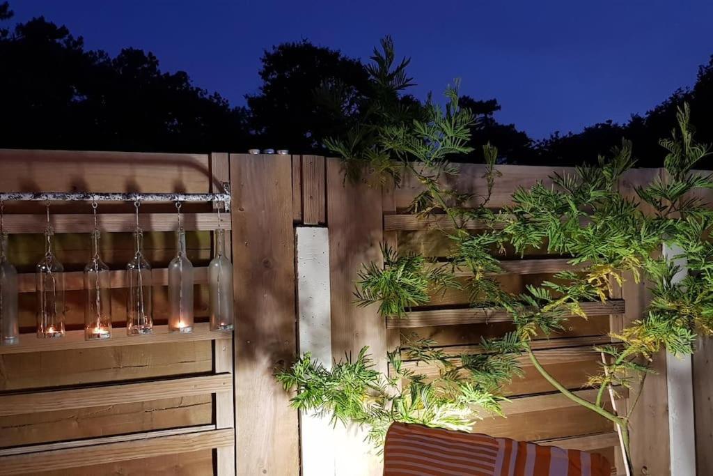 Le Chai De L'Ocean - Studio Avec Jardin Et Terrasse - Plage 300 M Soulac-sur-Mer Kültér fotó